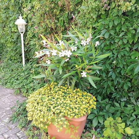 Pension Haus Anneliese Юкериц Екстериор снимка