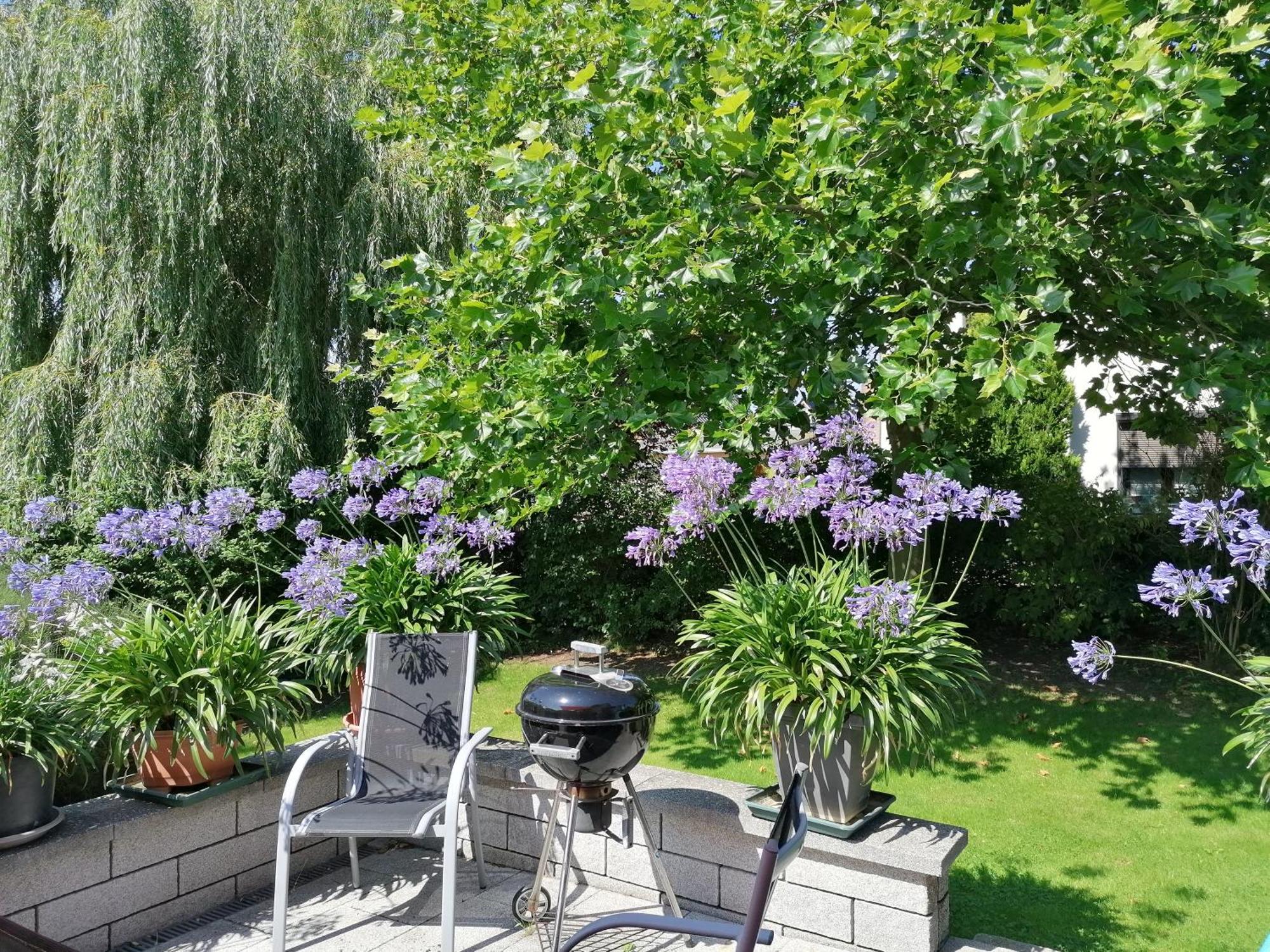 Pension Haus Anneliese Юкериц Екстериор снимка