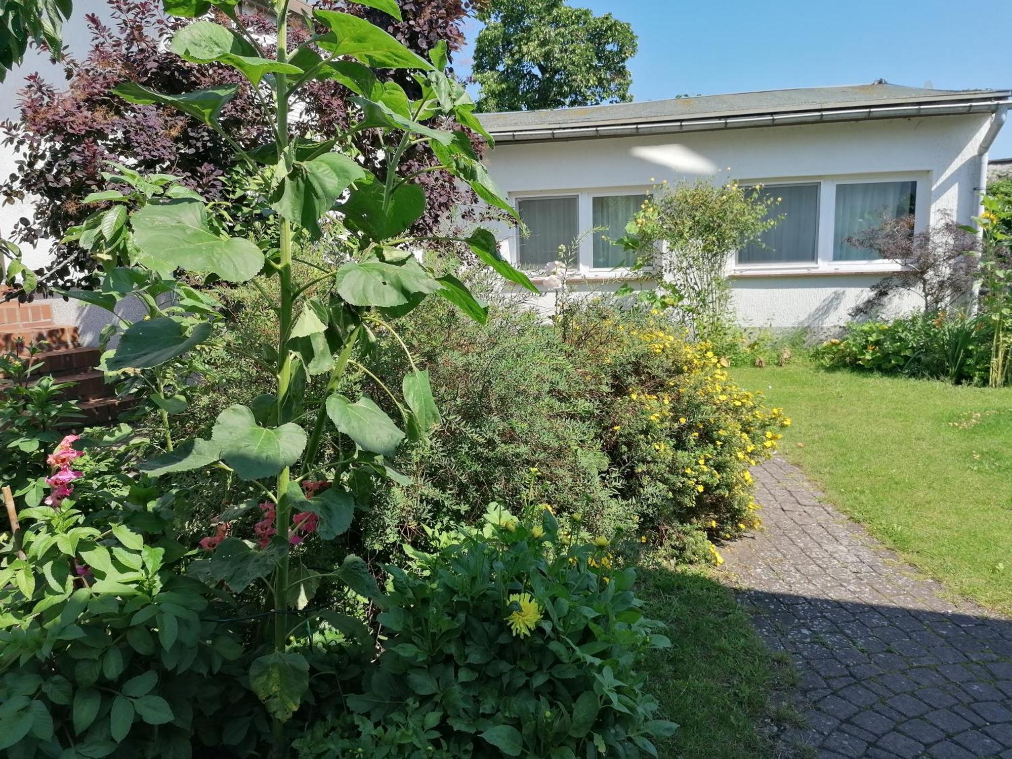 Pension Haus Anneliese Юкериц Екстериор снимка