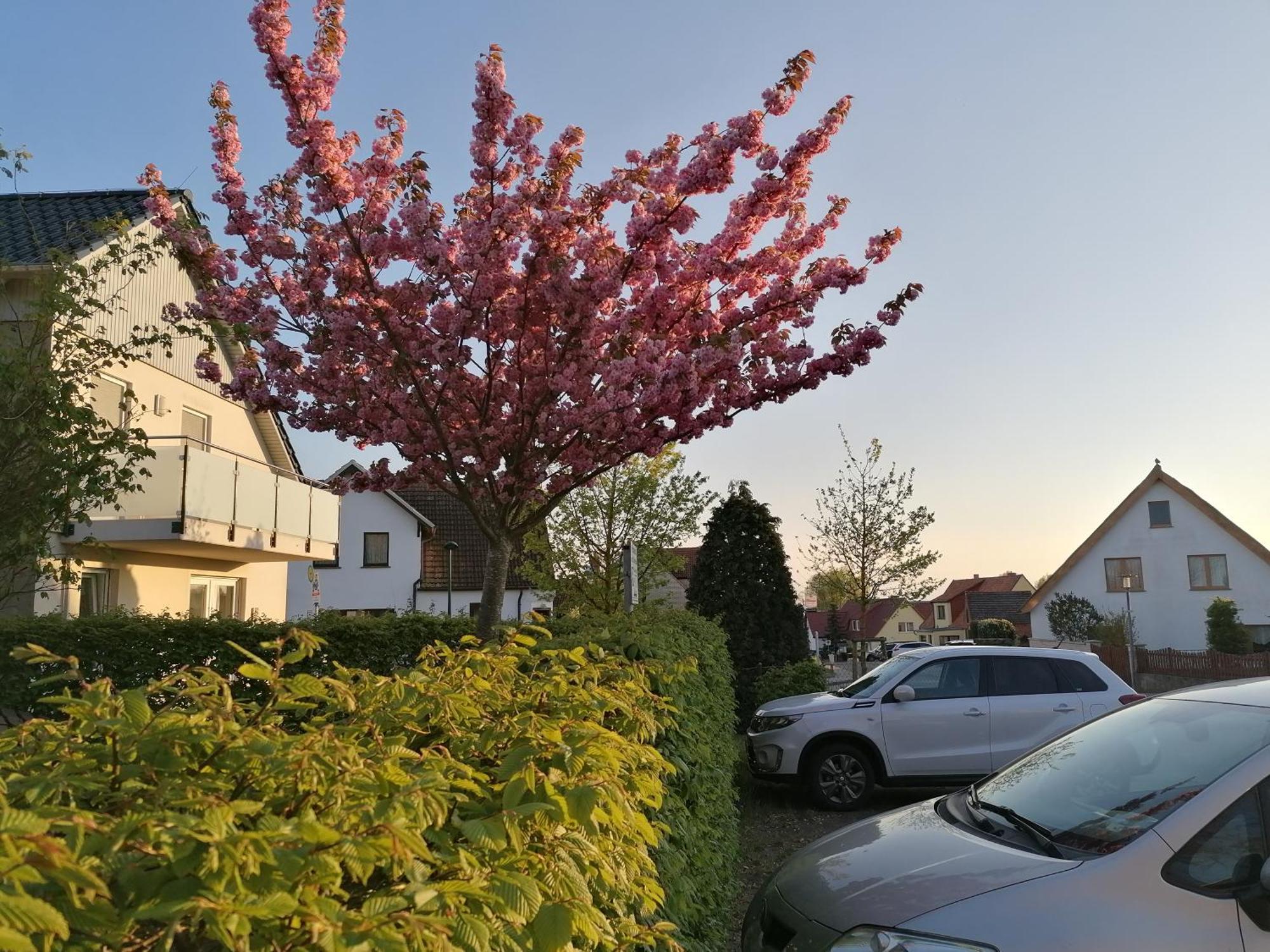 Pension Haus Anneliese Юкериц Екстериор снимка