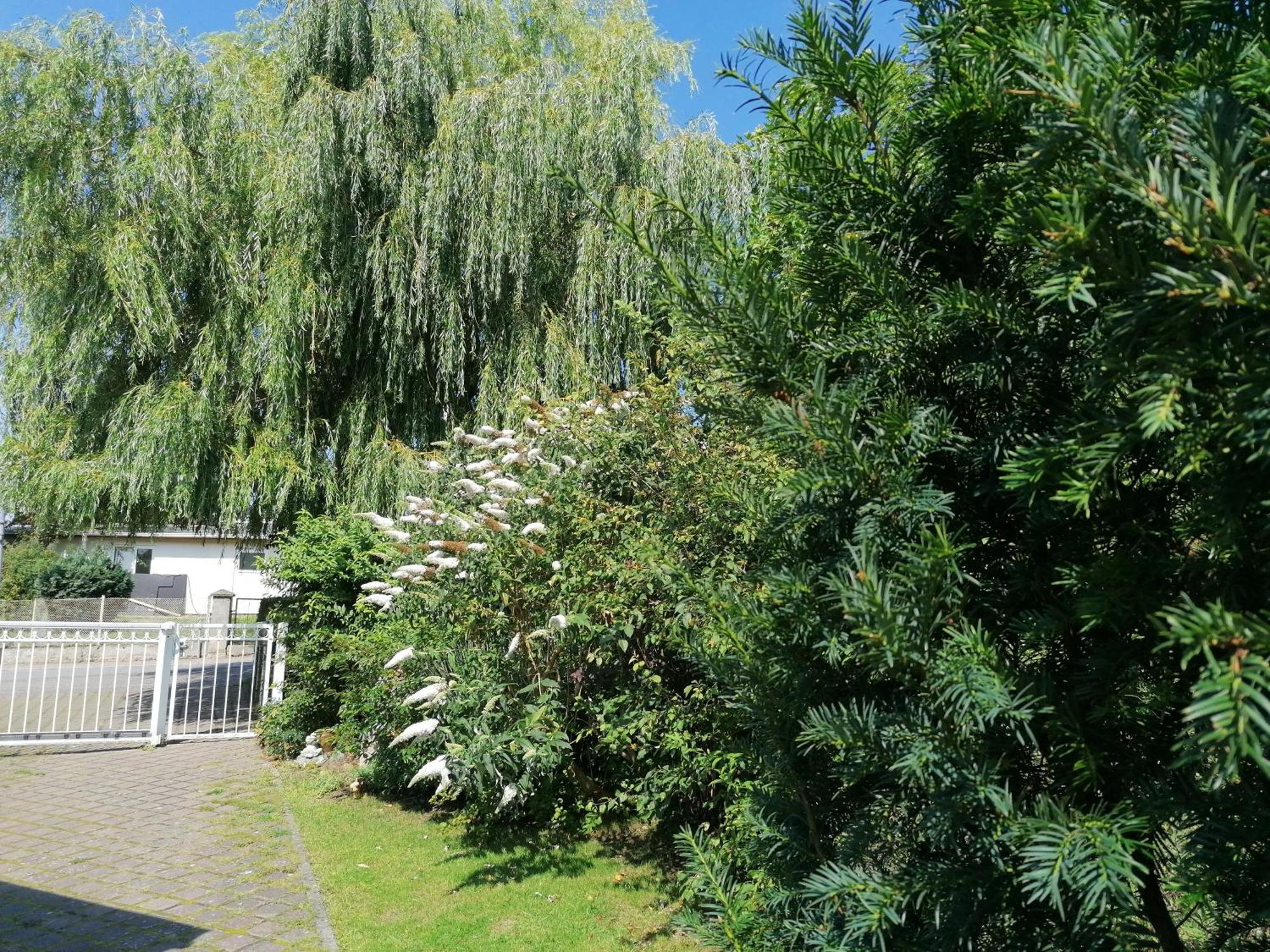 Pension Haus Anneliese Юкериц Екстериор снимка