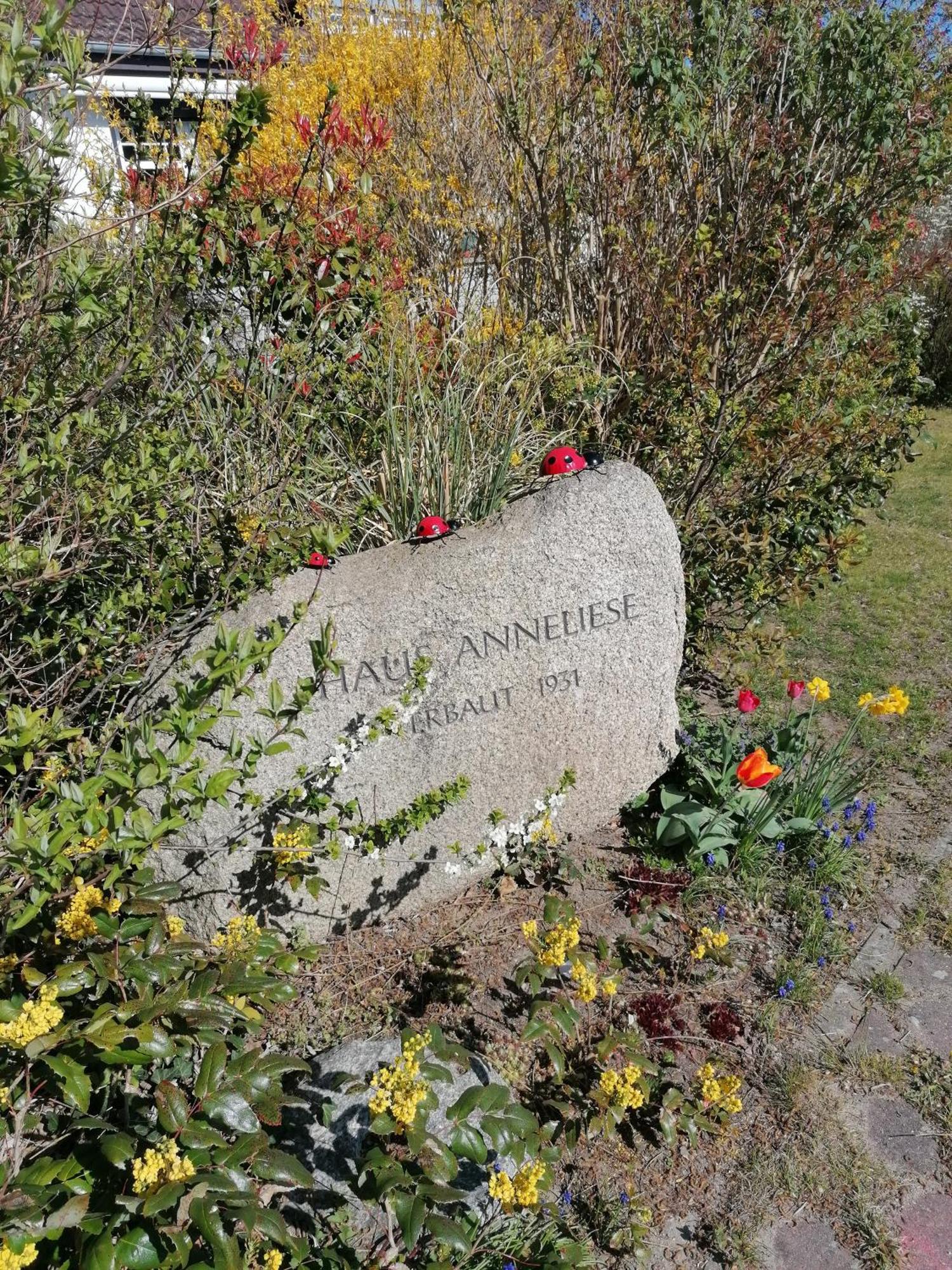 Pension Haus Anneliese Юкериц Екстериор снимка