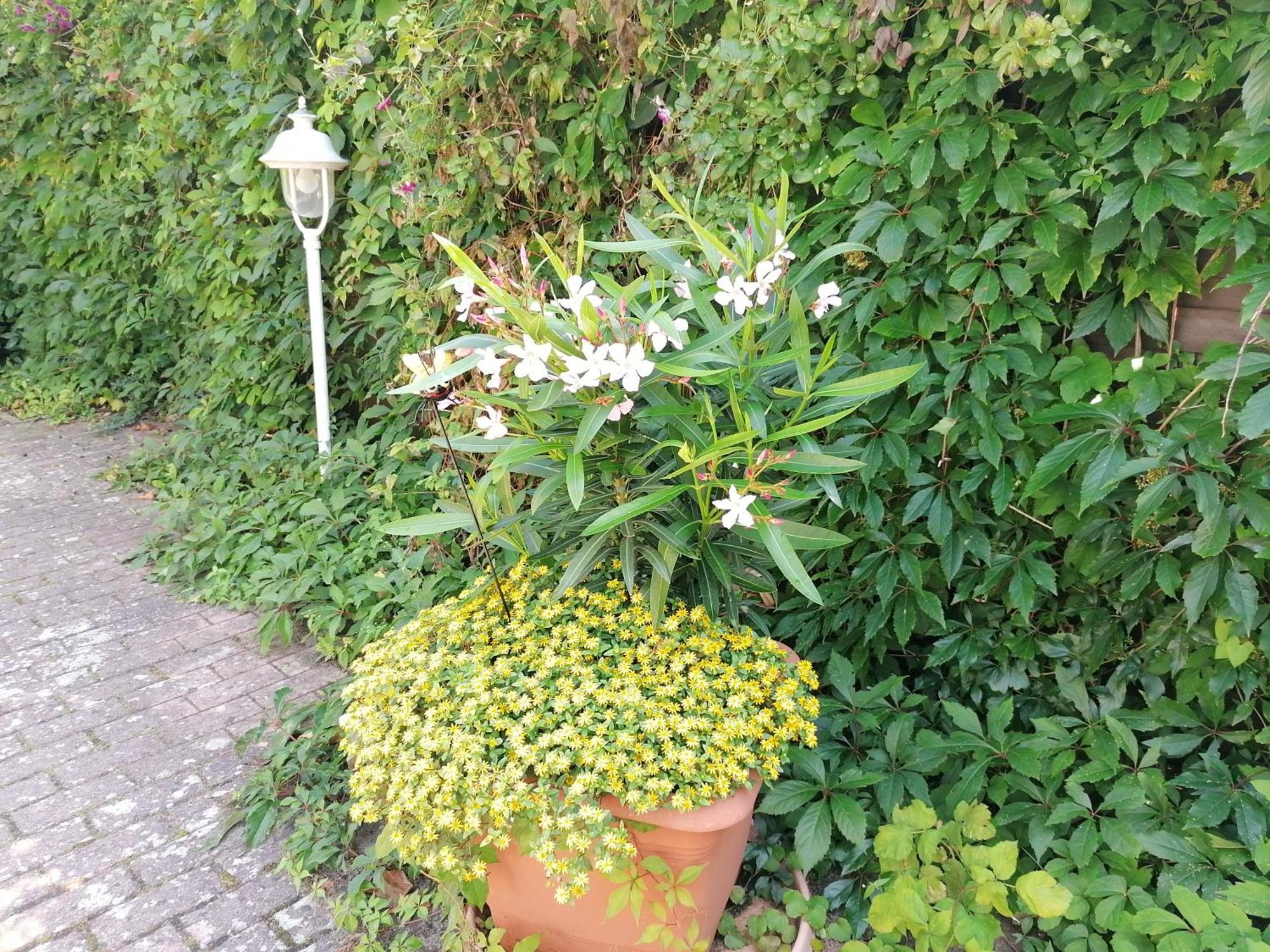 Pension Haus Anneliese Юкериц Екстериор снимка